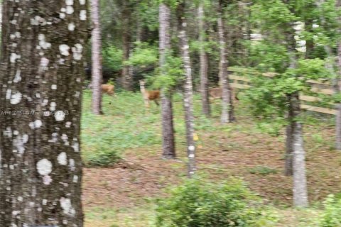 Land in Inverness, Florida № 1869926 - photo 10