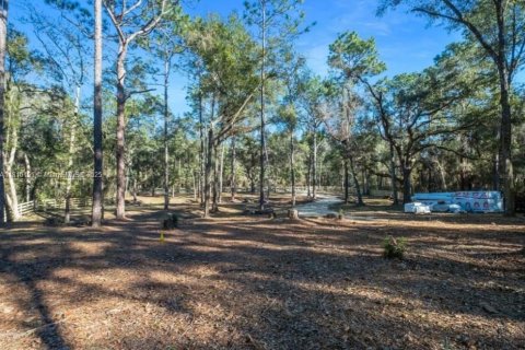 Land in Inverness, Florida № 1869926 - photo 12