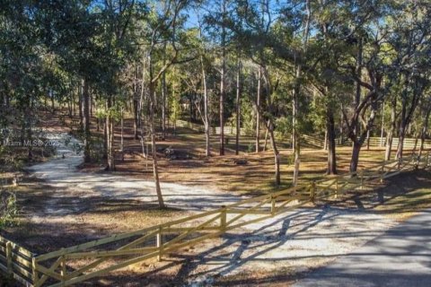 Land in Inverness, Florida № 1869926 - photo 11