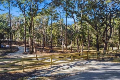 Land in Inverness, Florida № 1869926 - photo 4