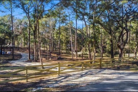 Land in Inverness, Florida № 1869926 - photo 9
