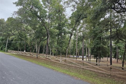 Land in Inverness, Florida № 1869926 - photo 16