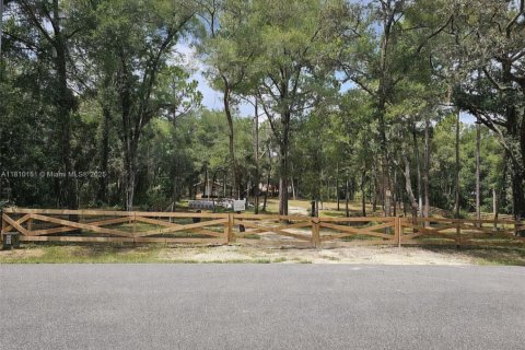 Land in Inverness, Florida № 1869926 - photo 17