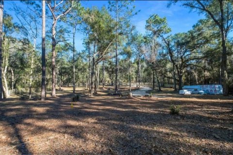 Land in Inverness, Florida № 1869926 - photo 5