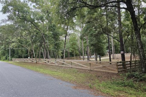 Land in Inverness, Florida № 1869926 - photo 15