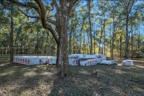 Land in Inverness, Florida № 1869926 - photo 6