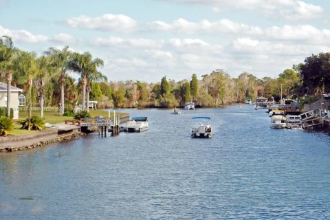 Land in Inverness, Florida № 1869926 - photo 26