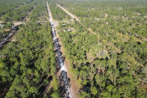 Land in Indian lake estates, Florida № 2234949 - photo 16