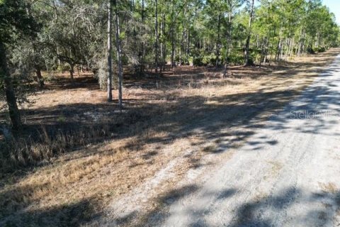 Land in Indian lake estates, Florida № 2234949 - photo 22