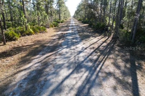 Land in Indian lake estates, Florida № 2234949 - photo 23