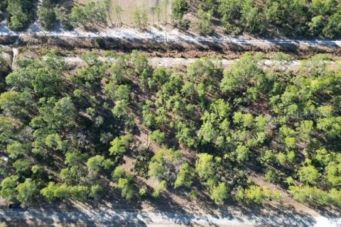 Land in Indian lake estates, Florida № 2234949 - photo 12