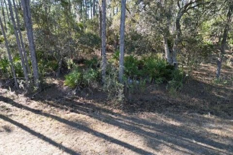 Land in Indian lake estates, Florida № 2234949 - photo 24