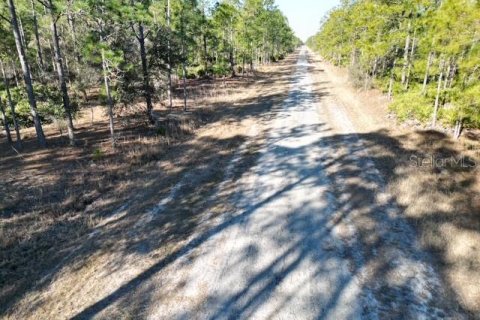 Land in Indian lake estates, Florida № 2234949 - photo 19