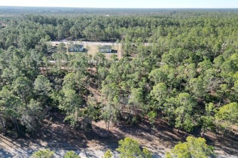Land in Indian lake estates, Florida № 2234949