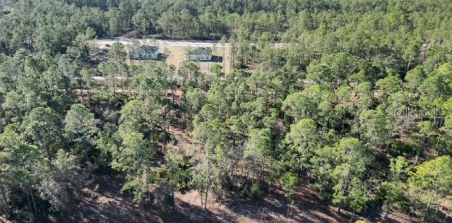 Land in Indian lake estates, Florida № 2234949