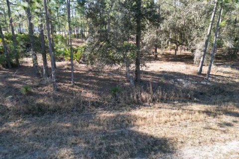 Land in Indian lake estates, Florida № 2234949 - photo 21