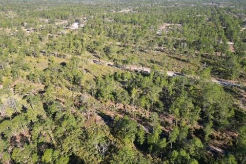 Land in Indian lake estates, Florida № 2234949 - photo 17