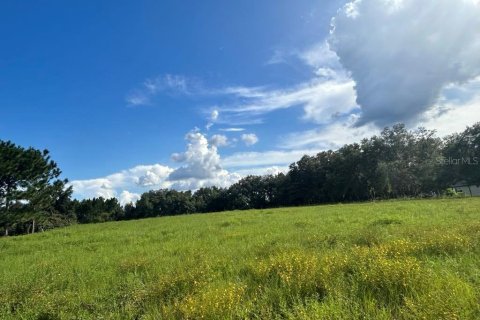 Terreno en venta en Inverness, Florida № 1514923 - foto 2