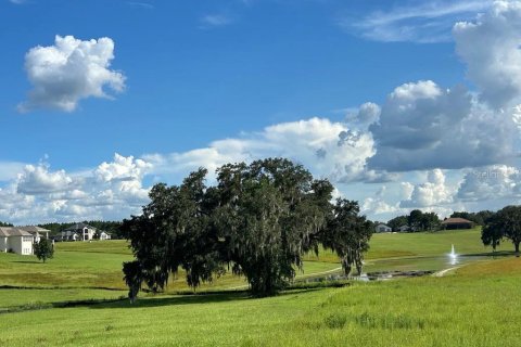 Terreno en venta en Inverness, Florida № 1514923 - foto 1