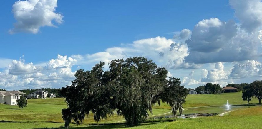 Terreno en Inverness, Florida № 1514923
