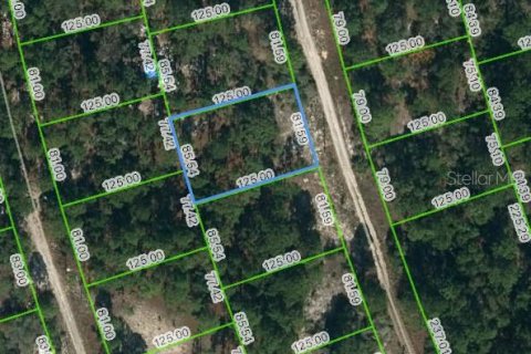 Land in Lake Placid, Florida № 2232110