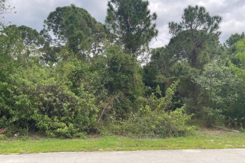 Land in Saint Lucie, Florida № 2220644
