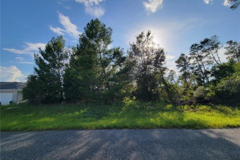 Land in Ocala, Florida № 1895024 - photo 1