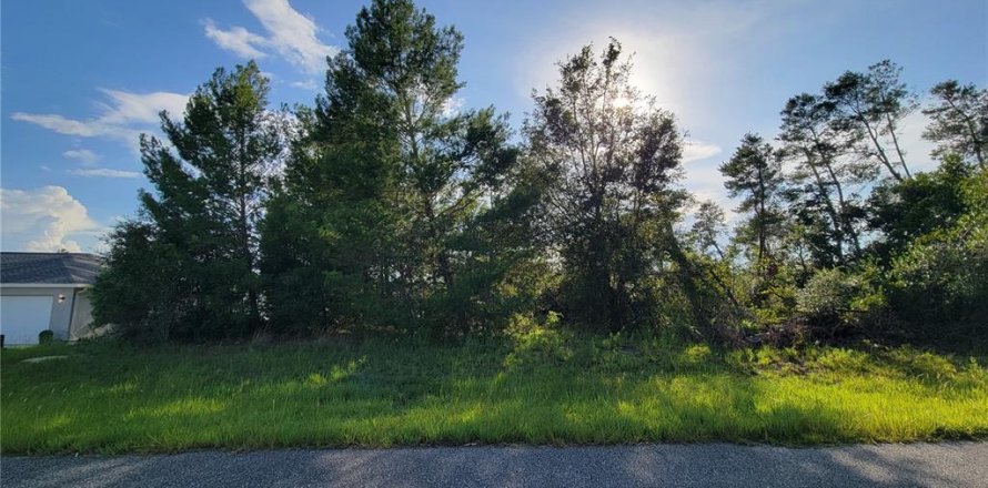 Land in Ocala, Florida № 1895024