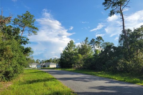 Land in Ocala, Florida № 1895024 - photo 4