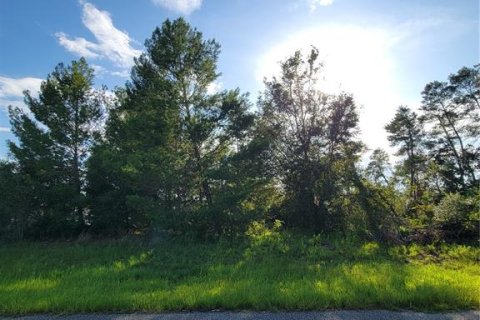 Land in Ocala, Florida № 1895024 - photo 2