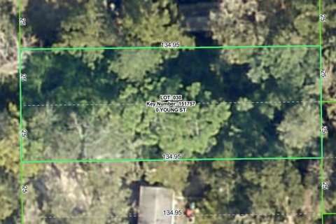 Land in Brooksville, Florida № 2159818