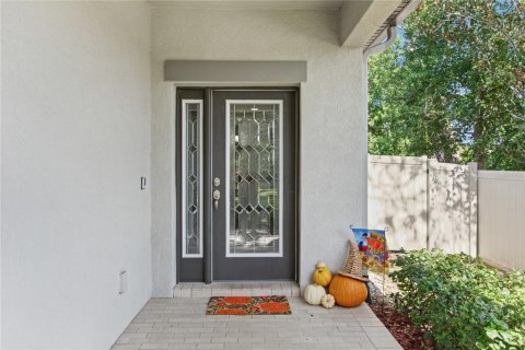 Villa ou maison à vendre à Seffner, Floride: 4 chambres, 192.59 m2 № 2436722 - photo 22
