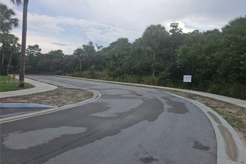 Immobilier commercial à vendre à Hobe Sound, Floride № 1928810 - photo 3