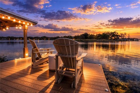 Villa ou maison à vendre à Windermere, Floride: 5 chambres, 580.45 m2 № 2330753 - photo 10