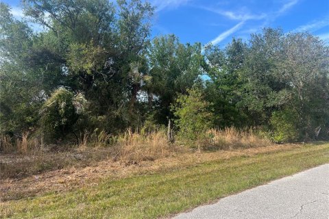 Land in Port Charlotte, Florida № 2163921 - photo 3