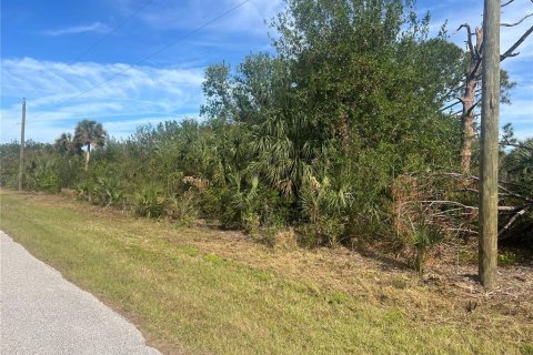 Land in Port Charlotte, Florida № 2163921 - photo 2