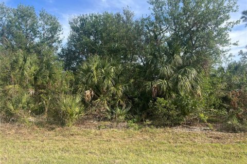 Land in Port Charlotte, Florida № 2163921