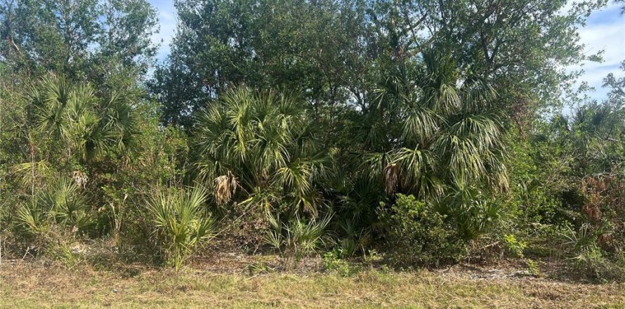 Land in Port Charlotte, Florida № 2163921