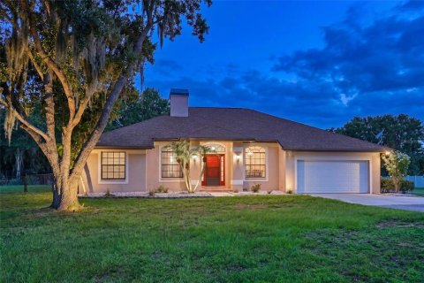 Villa ou maison à vendre à Parrish, Floride: 3 chambres, 184.88 m2 № 2217147 - photo 3