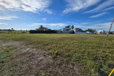 Terrain à vendre à Cape Coral, Floride № 1525662 - photo 5