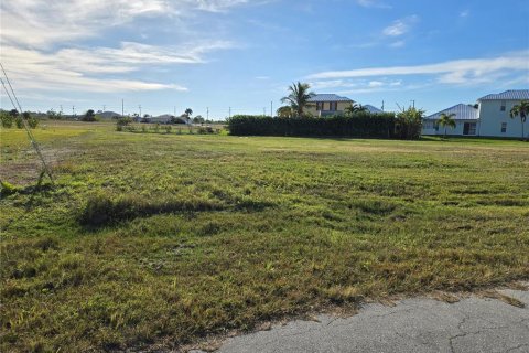 Terrain à vendre à Cape Coral, Floride № 1525662 - photo 2