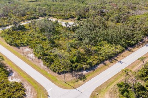 Terreno en venta en Rotonda, Florida № 1679919 - foto 4