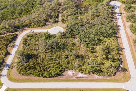 Terreno en venta en Rotonda, Florida № 1679919 - foto 2