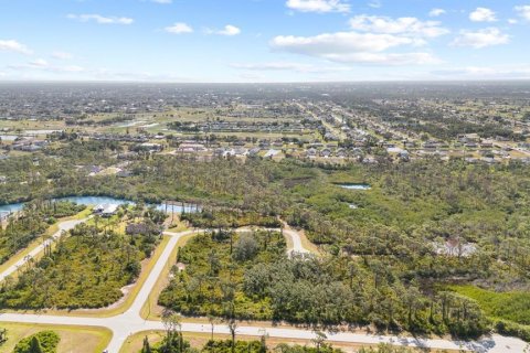 Terreno en venta en Rotonda, Florida № 1679919 - foto 8