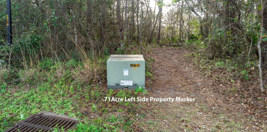 Terreno en Jacksonville, Florida № 766196