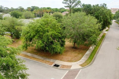 Land in Palm Coast, Florida № 1690470 - photo 1