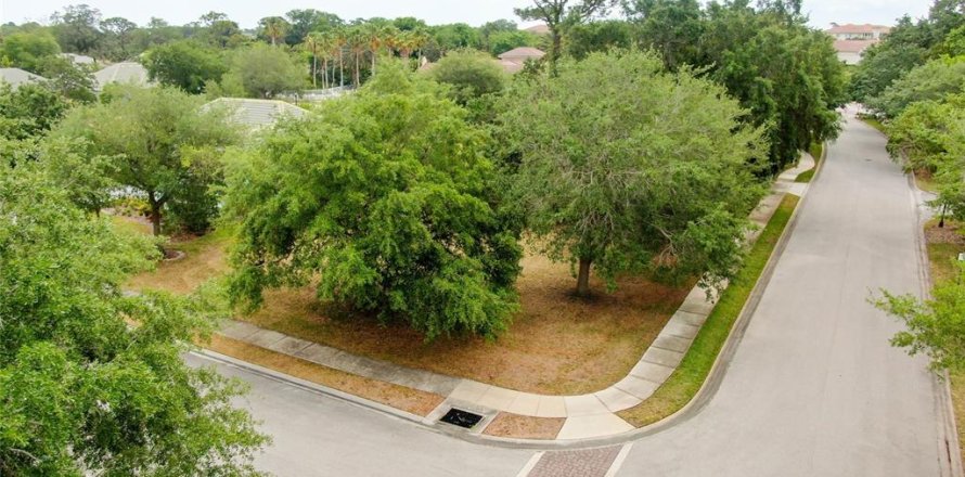 Land in Palm Coast, Florida № 1690470
