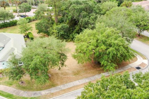 Land in Palm Coast, Florida № 1690470 - photo 3