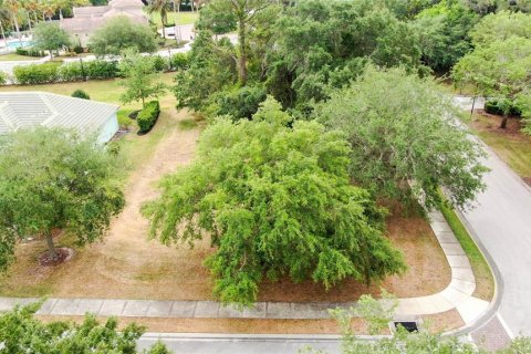 Land in Palm Coast, Florida № 1690470 - photo 2