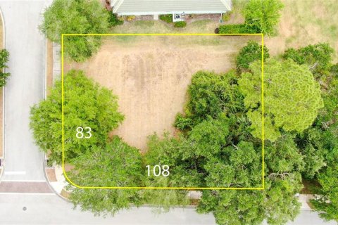 Land in Palm Coast, Florida № 1690470 - photo 4